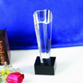Crystal Trophies, Crystal Awards, Laser Engraved Crystal Trophies